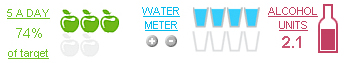 Diary meters